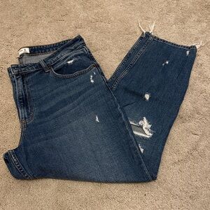 Abercrombie & Fitch Curve Love Mom Jean